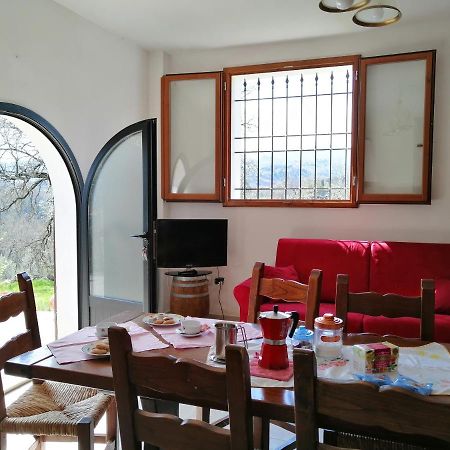 Ferienwohnung Casa Pancole Il Tinello Cavriglia Exterior foto